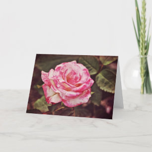 Lindo Cartão de Fé da Rosa Rosa Salmo 102:26