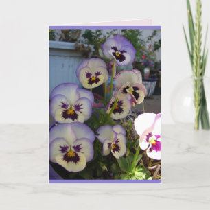 Lindo cartão floral de flores de Pensas Azuis