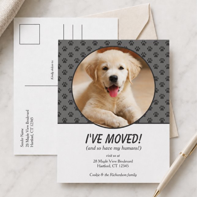 Lindo Cartão Postal com Foto Personalizada do Cach (cute fun modern stylish i've moved new home announcement with custom pet puppy dog photo)