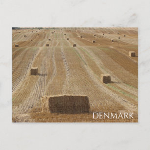 Lindo cartão postal da zona rural da Dinamarca!