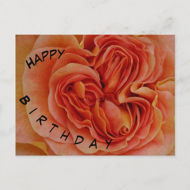 Lindo cartão postal de aniversário com rosa pastel (Frente)