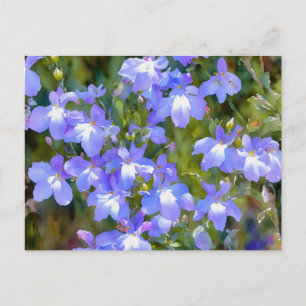 Lindo cartão postal de flores azuis Não Me Esqueça