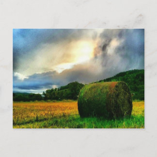 Lindo cartão postal de um campo de feno