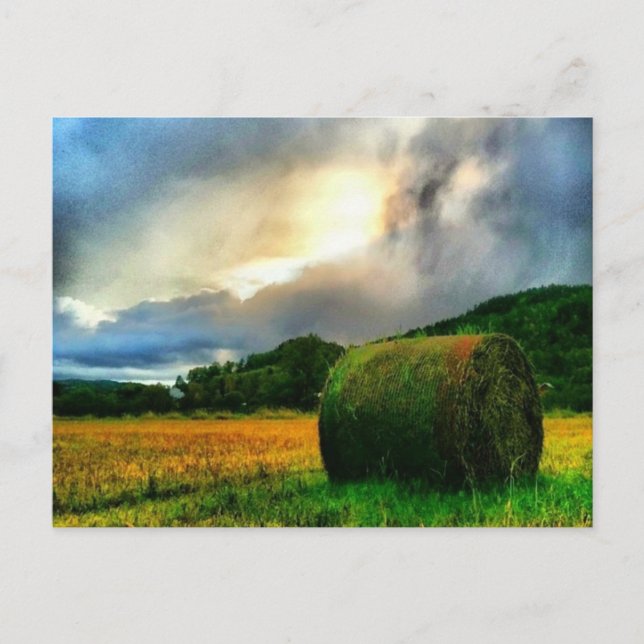 Lindo cartão postal de um campo de feno (Frente)