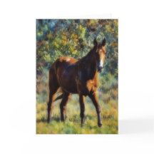 Lindo Cavalo no Cartão de Arte Pacífico do Pasto