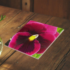 Lindo Floral de Amor-Perfeito Roxo