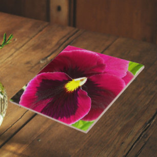 Lindo Floral de Amor-Perfeito Roxo