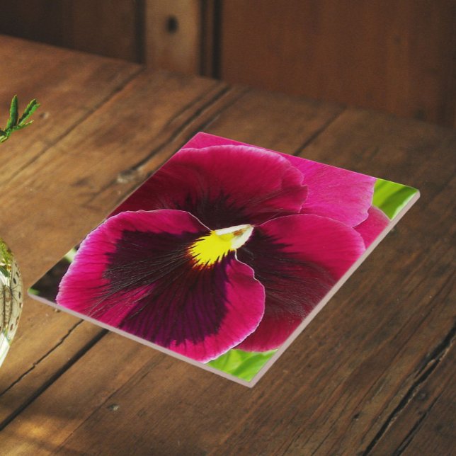 Lindo Floral de Amor-Perfeito Roxo (In Situ)