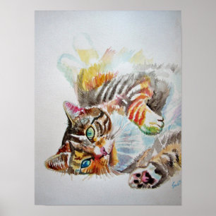Lindo Gato Tabby Brincando Dormindo Poster