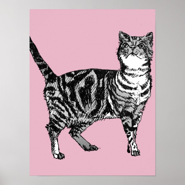 Lindo Gato Tabby Listrado Rosa Arte de Poster de G (Frente)