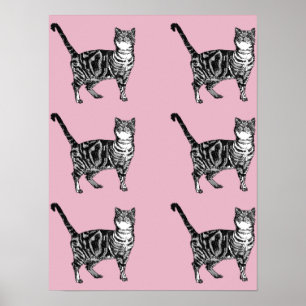Lindo Gato Tabby Listrado Rosa Arte de Poster de G