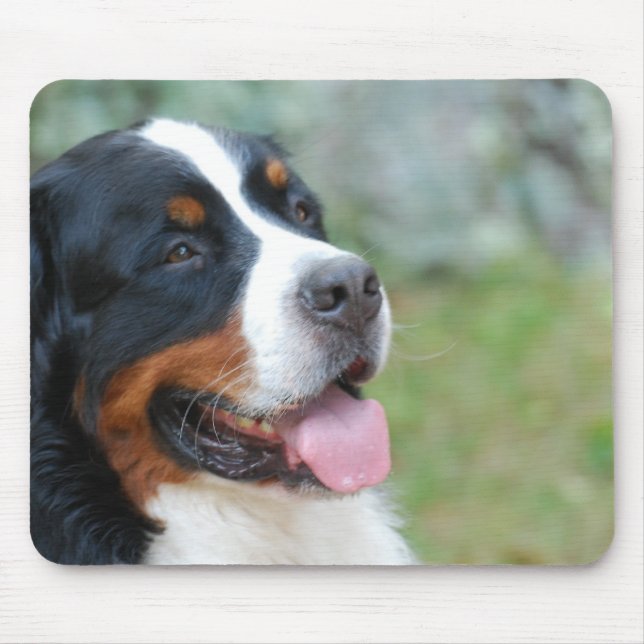 Lindo Mouse Pad de Bernese (Frente)