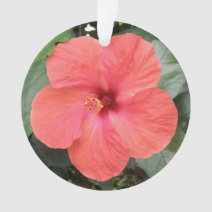 Lindo Ornamento Acrílico de Flor Laranja Hibiscus