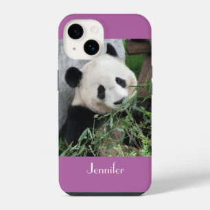 Lindo Panda Gigante, Roxo, Orquídea Radiante, Nome