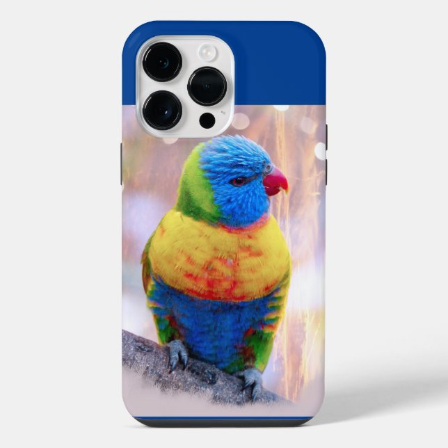 Lindo Papagaio Multicolorido (Verso)