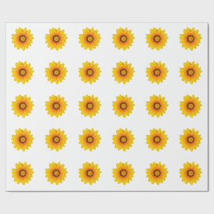 Lindo papel de presente flor Amarela Gazânia