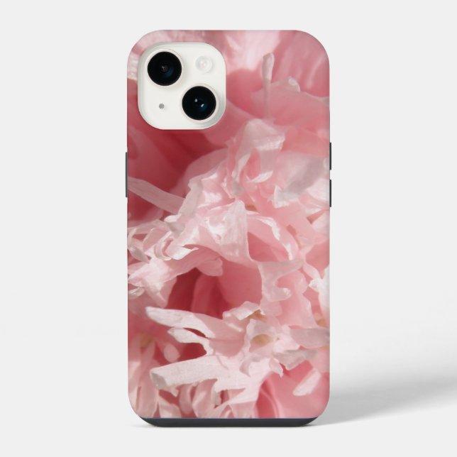 Lindo Papoula Rosa Pálido (Verso)
