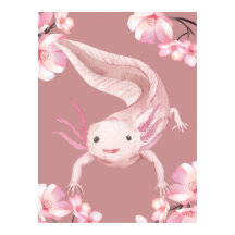 Lindo Poster de Axolotl Rosa em Aquarela