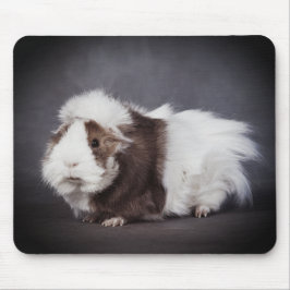 Lindo Rato de Porquinho da Índia, Mouse Pad