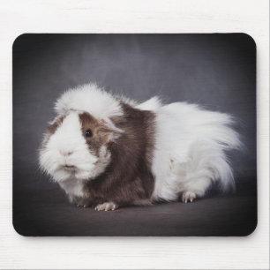 Lindo Rato de Porquinho da Índia, Mouse Pad