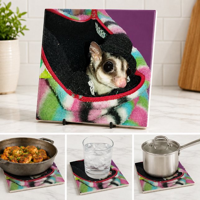 Lindo Sugar Glider Usando Chapéu Amante de Animais (Cute Sugar Glider Wearing Hat Pet Lover Kitchen Tile)