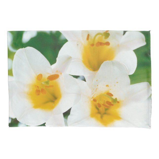 Lindos lírios brancos - Candidato Lilium (Frente)