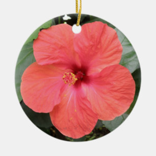 Lindos ornamentos de Flor Laranja Hibiscus