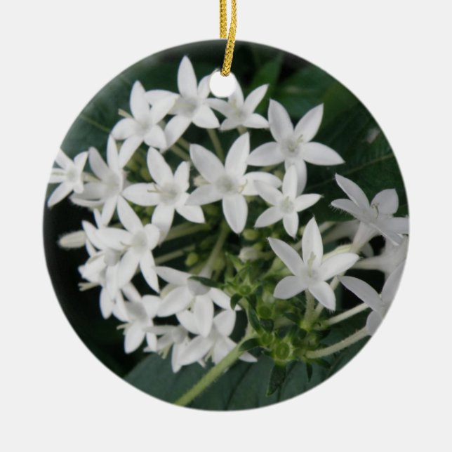 Lindos ornamentos de Flores Tropicais Brancas (Frente)