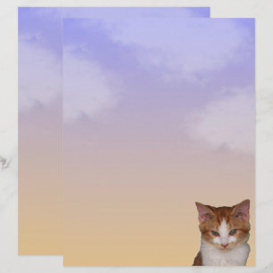 Linguagem de Cat-itude de Reba