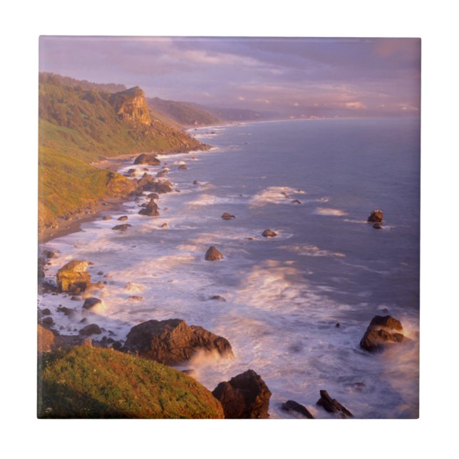 Linha costeira de Sequoias, Califórnia (Frente)