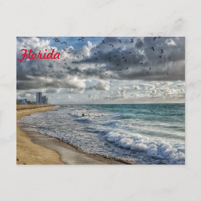 Linha Costeira do Sul da Flórida do Cartão de Post (Frente)