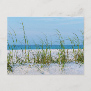 Linha de Aveia do Mar em Cartão Postal de Areia Br