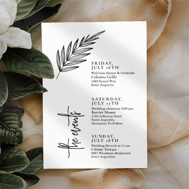 Linha do Tempo de Eventos de Casamento com Script  (Criador carregado)