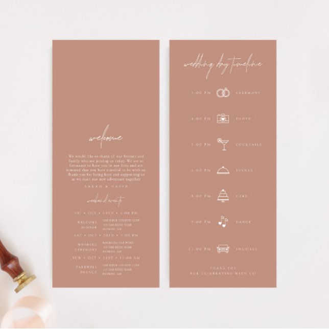Linha do tempo do dia moderno de casamento rosa-cl (Simple Blush Pink Modern Wedding Day Timeline)