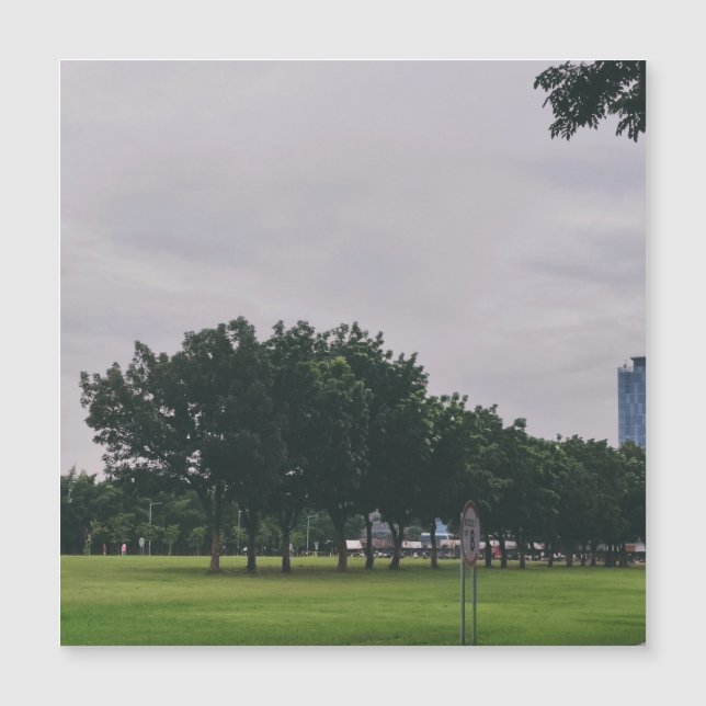 Linha verde (Frente)