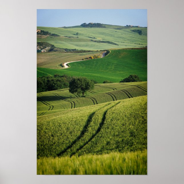 Linhas curvas em poster verde da Toscana (Frente)