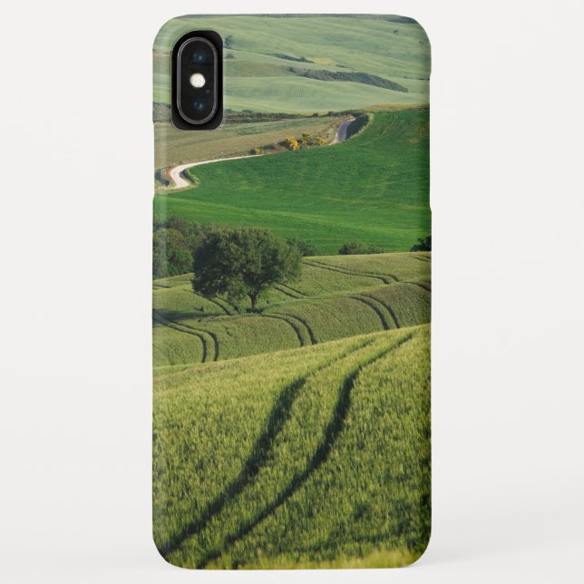 Linhas Curvy em umas capas de iphone verdes de (Verso)