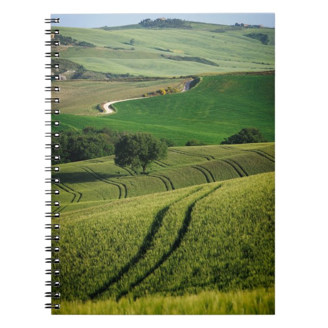 Linhas Curvy no caderno verde de Toscânia (Frente)
