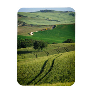 Linhas Curvy no ímã vertical verde de Toscânia