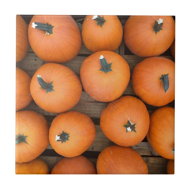 Linhas de Abóbora (Frente)