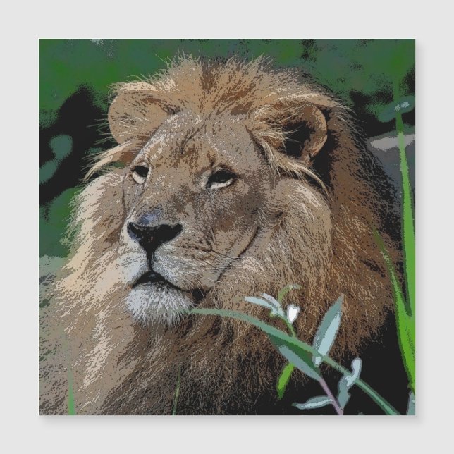 Lion20150805 (Frente)