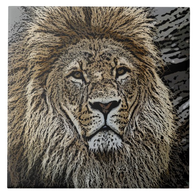 Lion_2015_0501 (Frente)