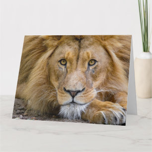 LION BIRTHDATING CARTÃO