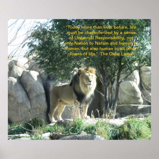 Lion Dalai Lama Cote Poster (Frente)