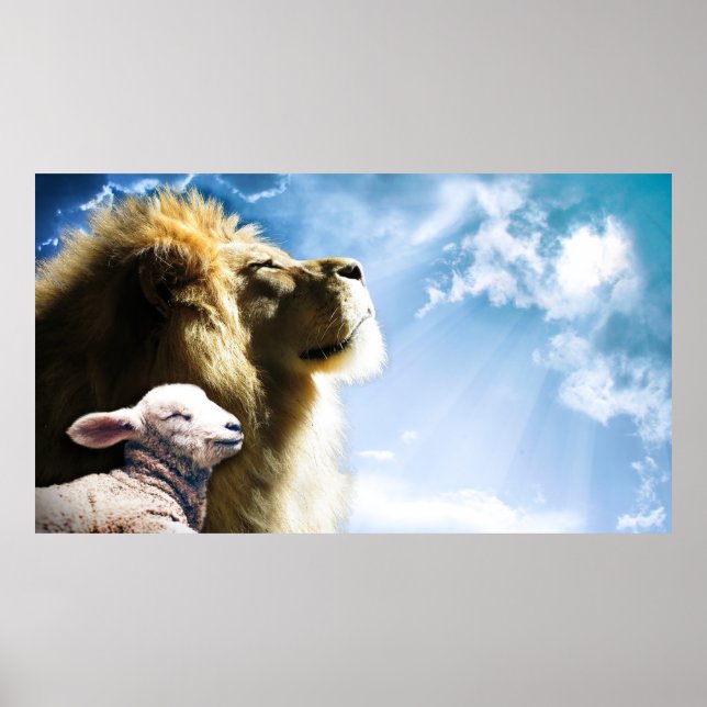 Lion e Lamb Poster (Frente)