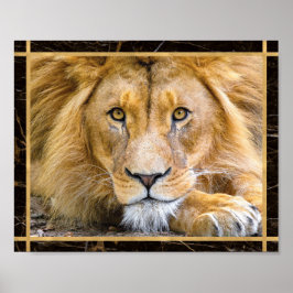 Lion Face Closeup Bright Photo Image Print Poster