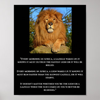 Lion & Gazelle African Cote Poster