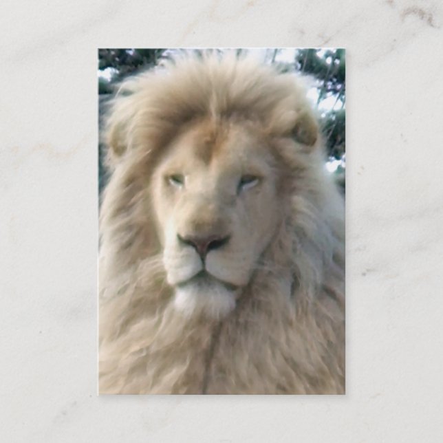 Lion Head - cartão de visita preto (Frente)