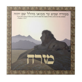 Lion Mizrach