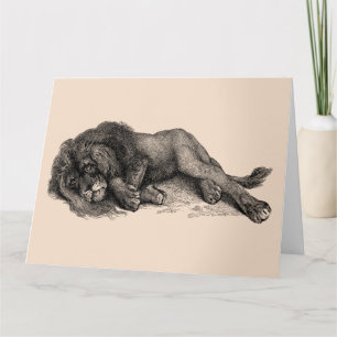 LION NAP FUNNY BONITA CARTÃO DE ANIVERSÁRIO